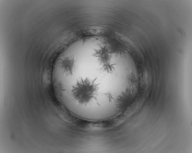 X0000113890606200910151336