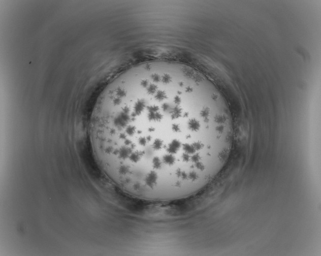 X0000113890607200910151336