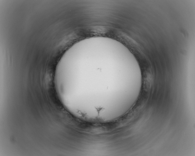 X0000113890608200910151336