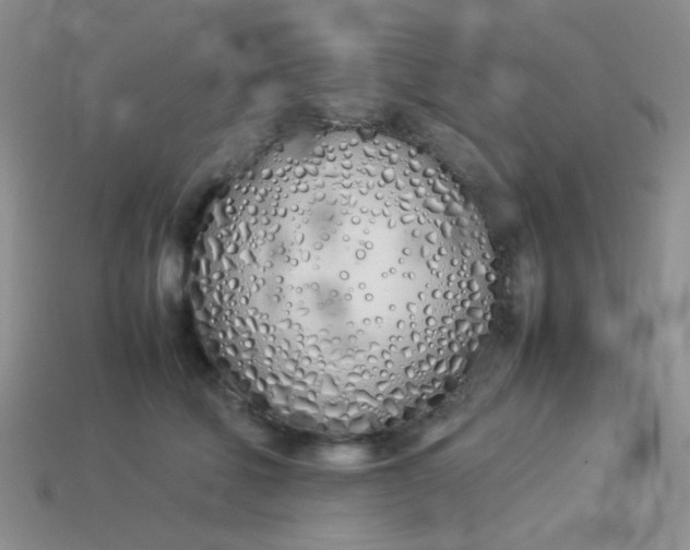 X0000113890610200910151336