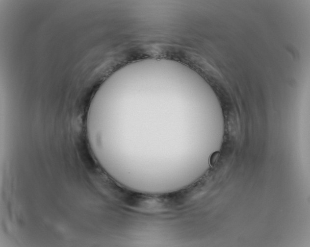 X0000113890611200910151336