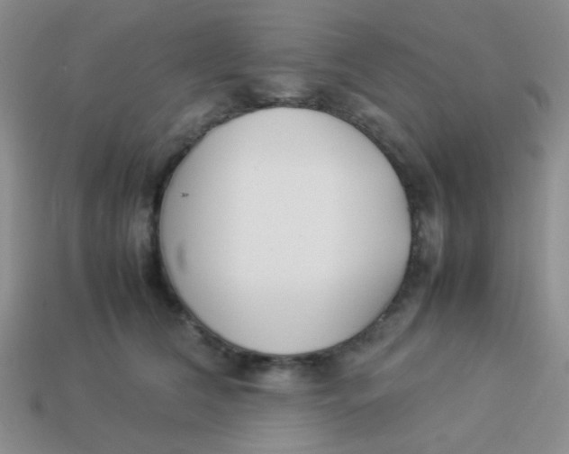 X0000113890612200910151336