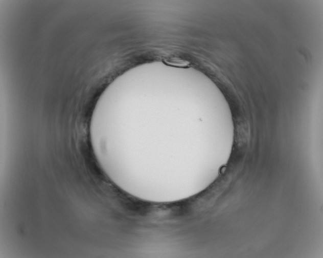 X0000113890613200910151336