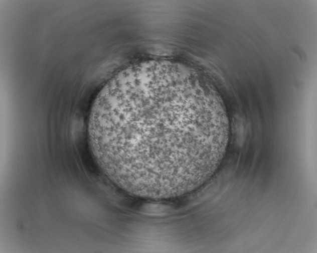 X0000113890614200910151336