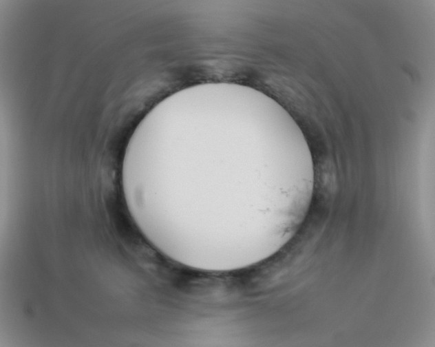 X0000113890615200910151336