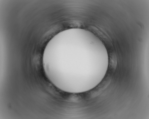 X0000113890616200910151336