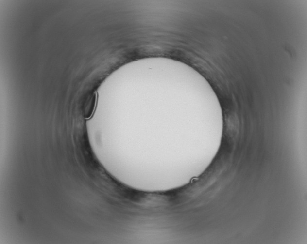 X0000113890617200910151336