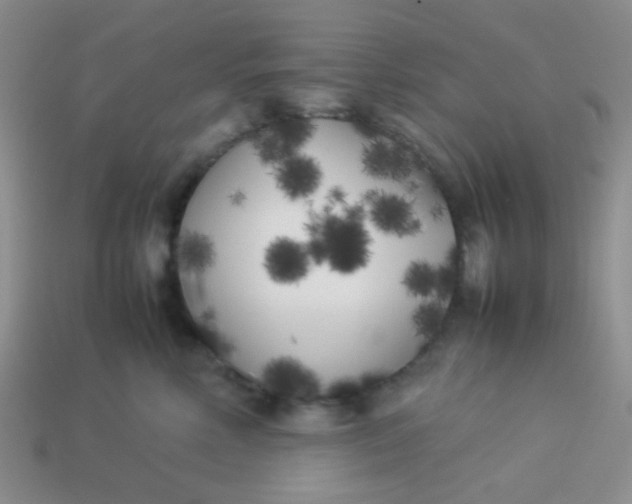 X0000113890618200910151336