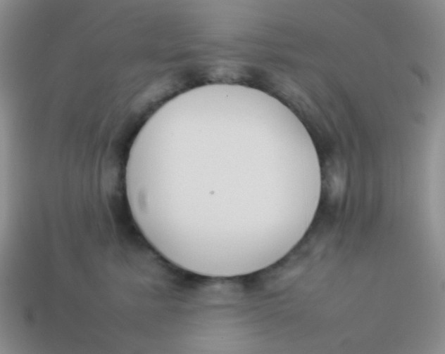 X0000113890619200910151336