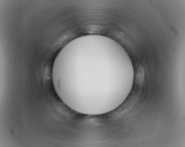 X0000113890620200910151336