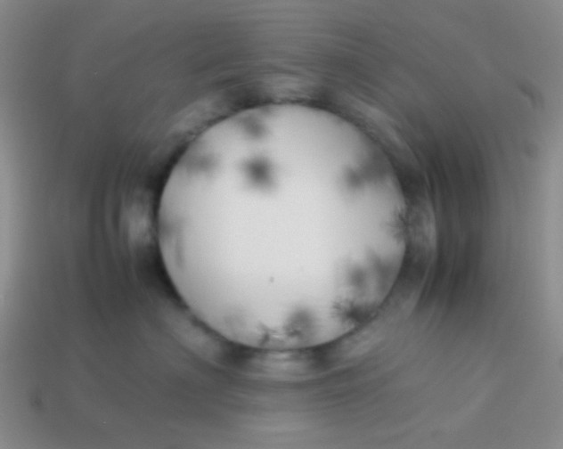X0000113890622200910151336