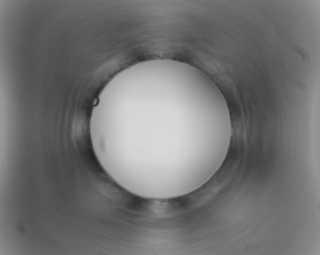 X0000113890623200910151336