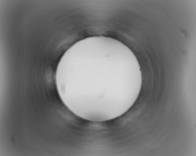 X0000113890624200910151336