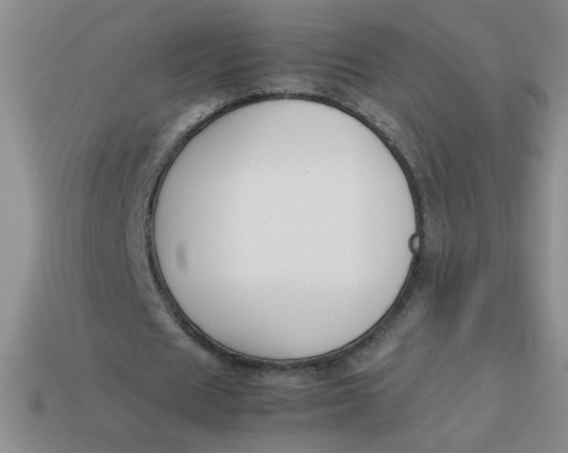 X0000113890625200910151335