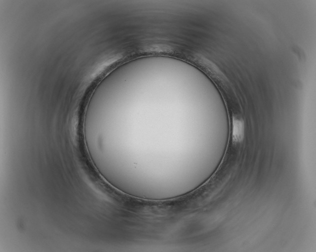 X0000113890627200910151335