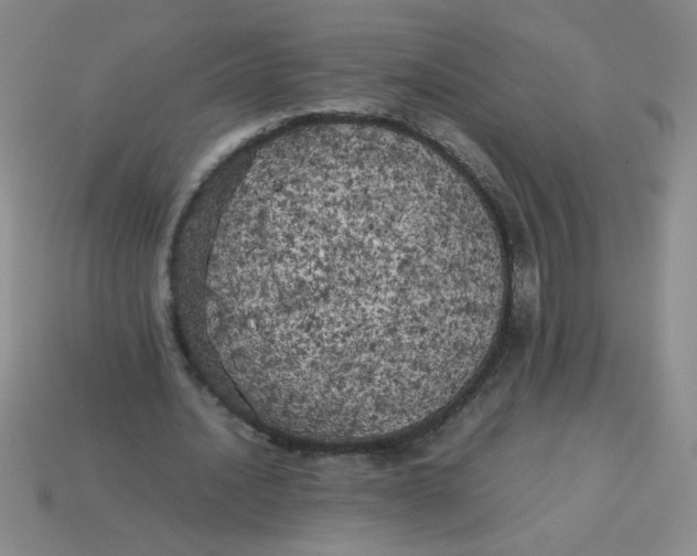 X0000113890628200910151335