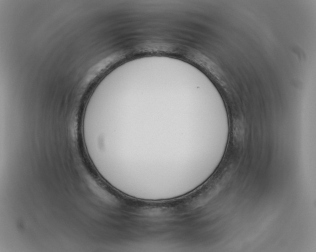 X0000113890629200910151335