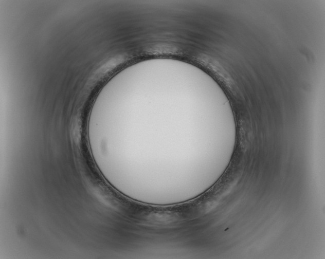 X0000113890631200910151335
