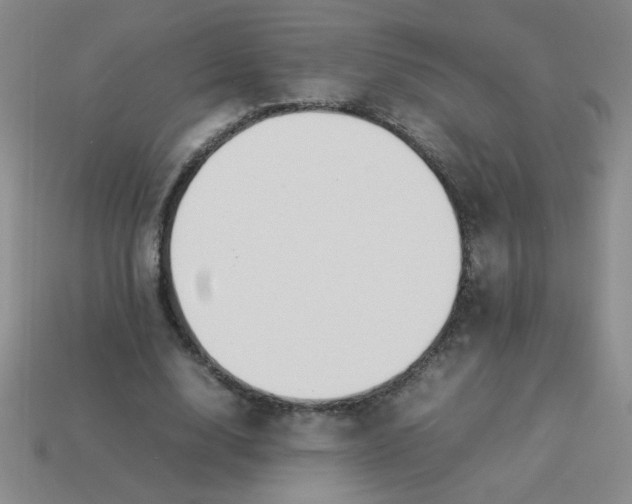 X0000113890632200910151335