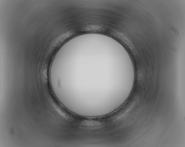 X0000113890633200910151335