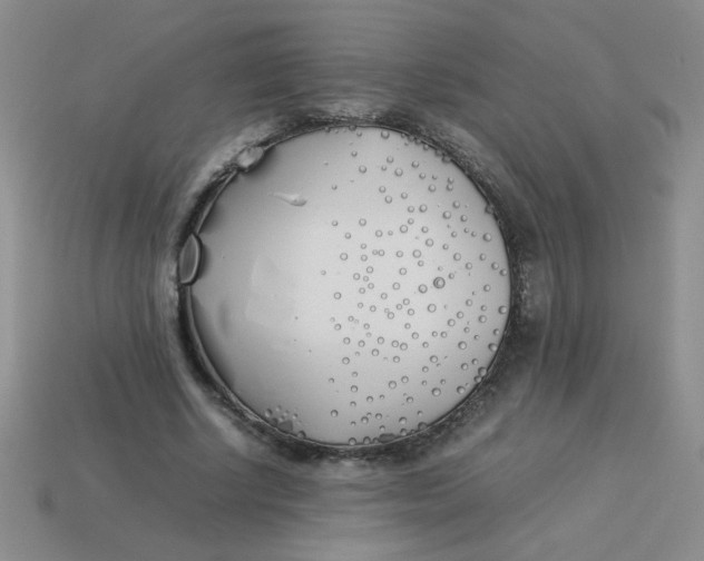 X0000113890634200910151335