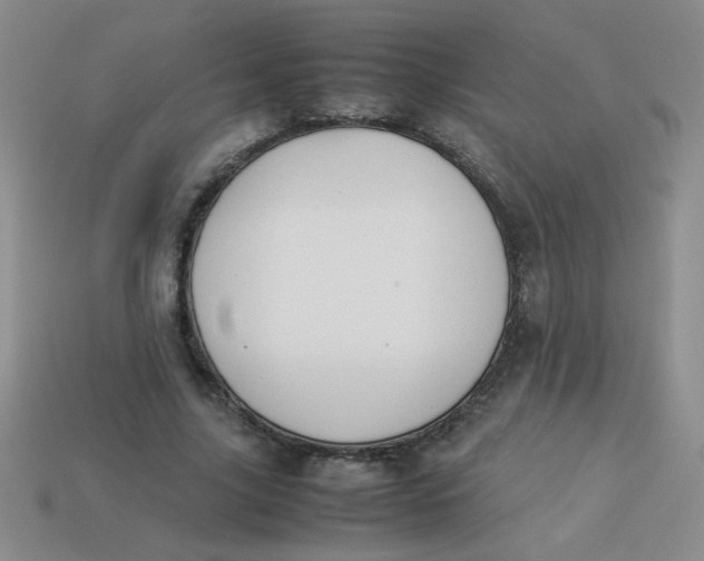 X0000113890635200910151335