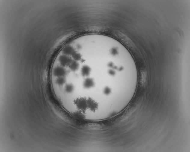 X0000113890636200910151335