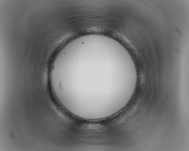 X0000113890637200910151335