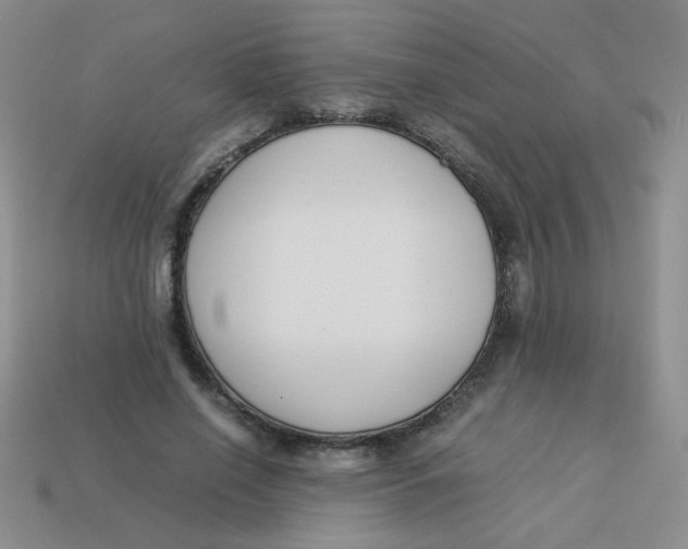 X0000113890638200910151335