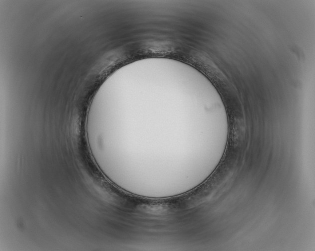 X0000113890639200910151335
