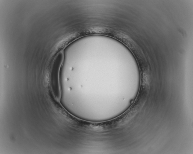 X0000113890640200910151336