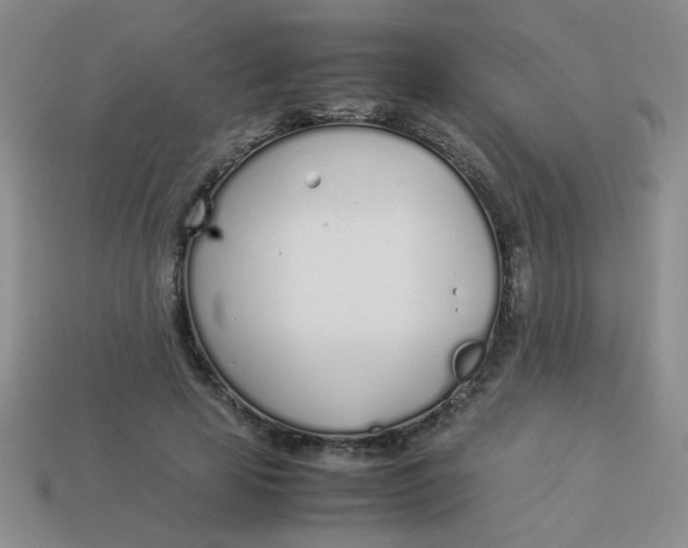 X0000113890641200910151336