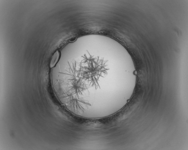 X0000113890642200910151336
