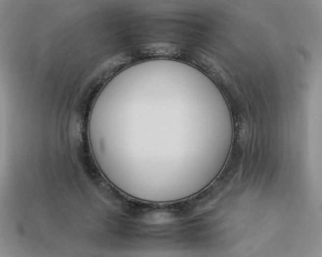 X0000113890643200910151336