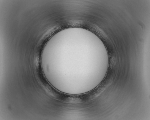X0000113890644200910151336