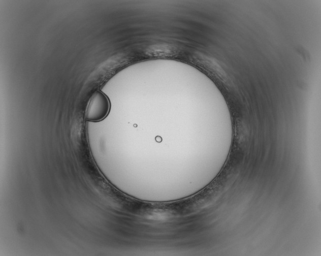 X0000113890645200910151336