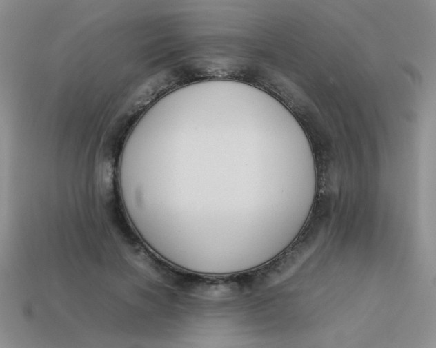 X0000113890646200910151336