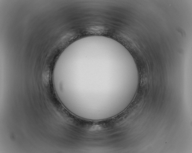 X0000113890647200910151336