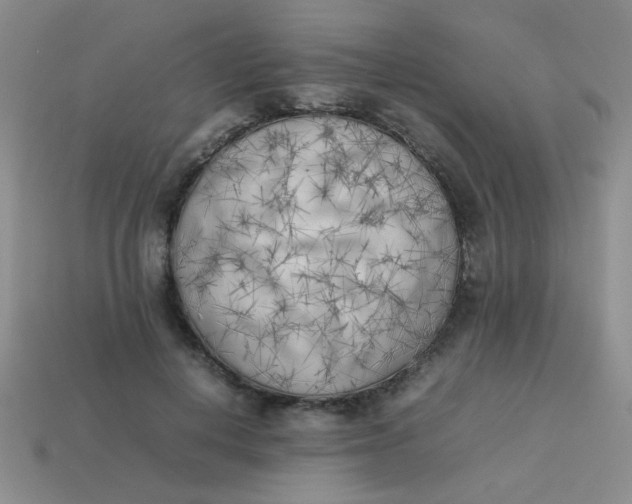X0000113890648200910151336