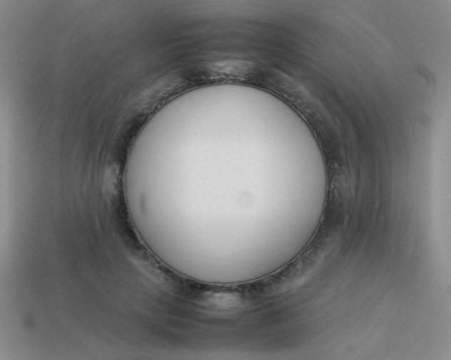 X0000113890649200910151336