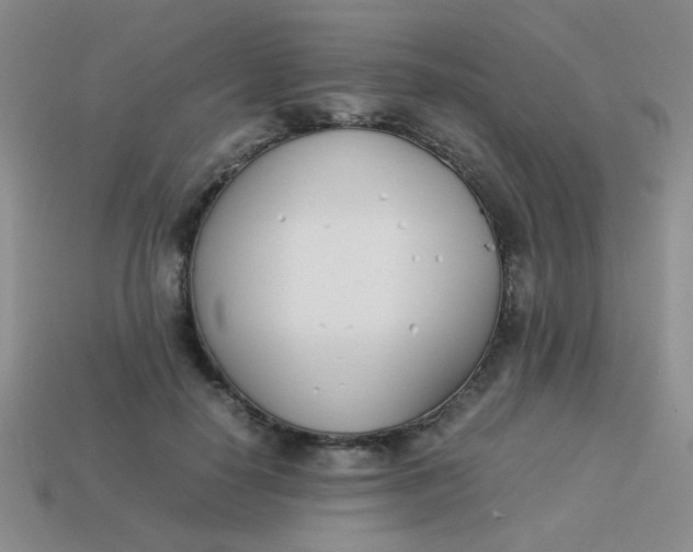 X0000113890650200910151336