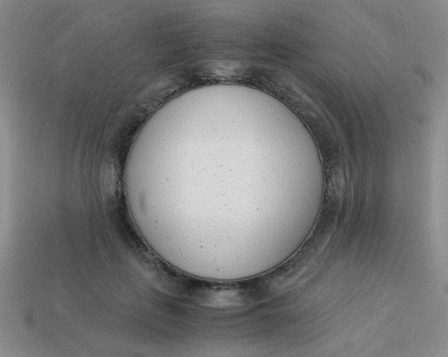 X0000113890651200910151336