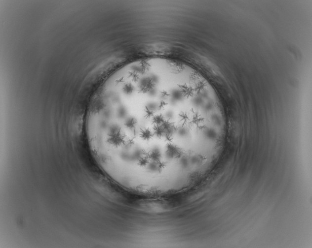 X0000113890652200910151336
