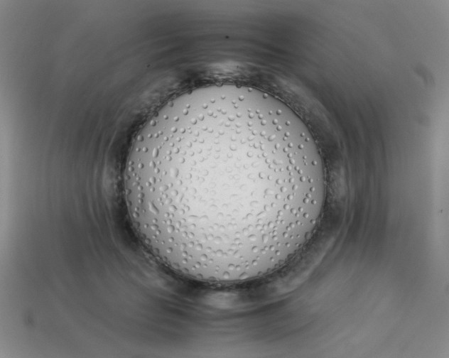 X0000113890653200910151336
