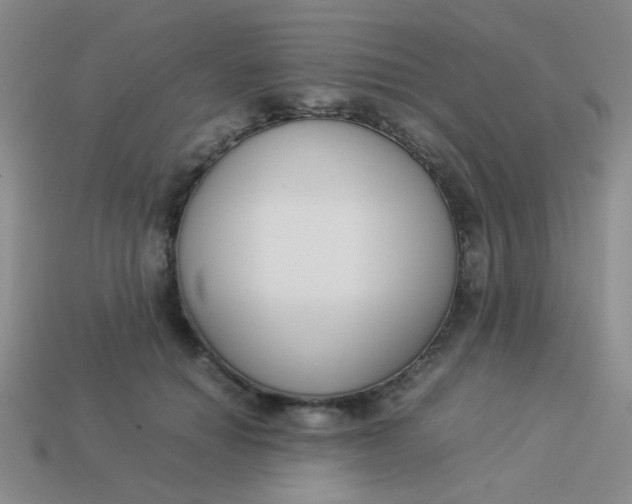 X0000113890654200910151336