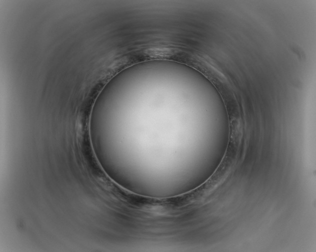 X0000113890655200910151336