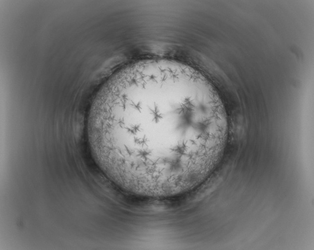 X0000113890656200910151336