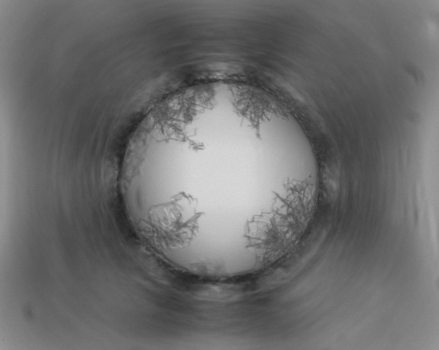 X0000113890657200910151336