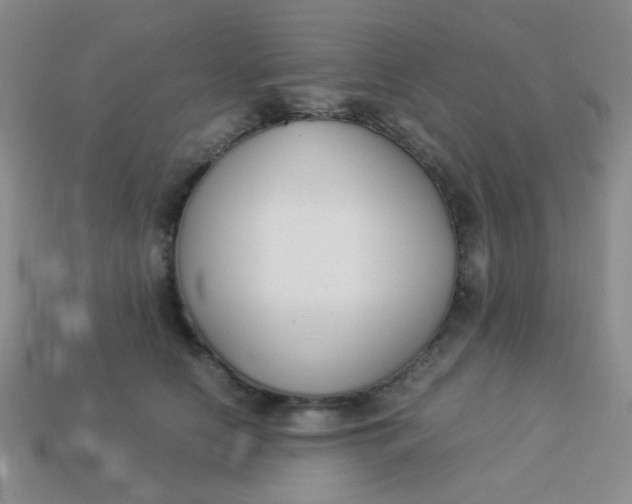 X0000113890658200910151336
