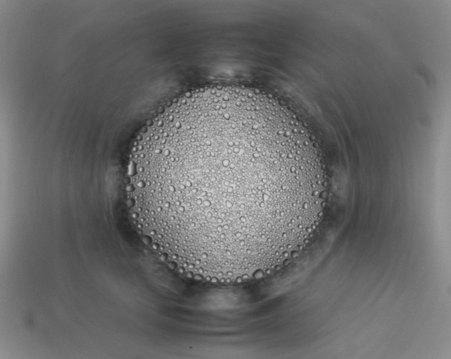 X0000113890659200910151336